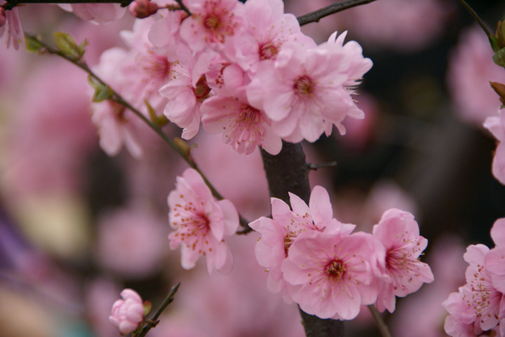 1634641775514082.jpg 1634641775514082.jpg