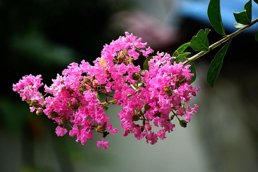 1634642352366963.jpg 1634642352366963.jpg