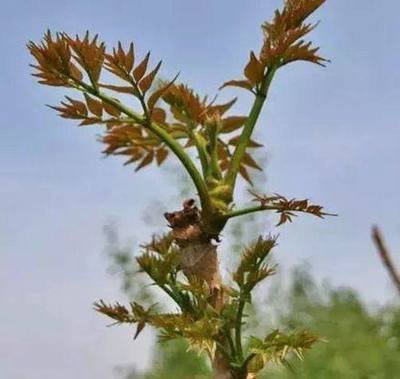 1634724893571843.jpg 1634724893571843.jpg