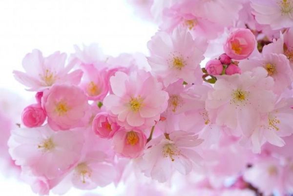 1634781361138720.jpg image.jpg