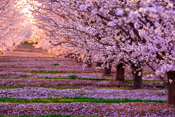 1634781379996944.jpg image.jpg