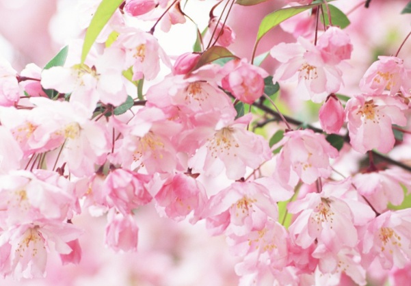 1634781395890418.jpg image.jpg