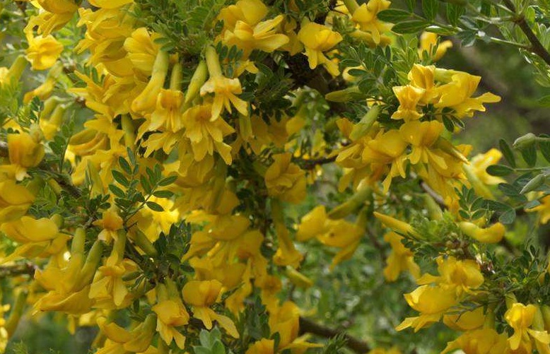 1634880543347886.jpg 1634880543347886.jpg