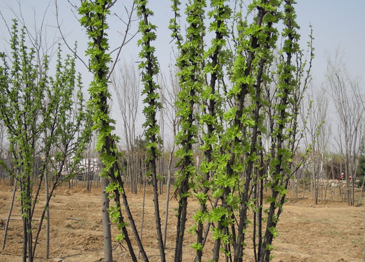 1634880554177799.jpg 1634880554177799.jpg