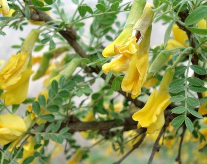 1634966147326995.jpg 1634966147326995.jpg