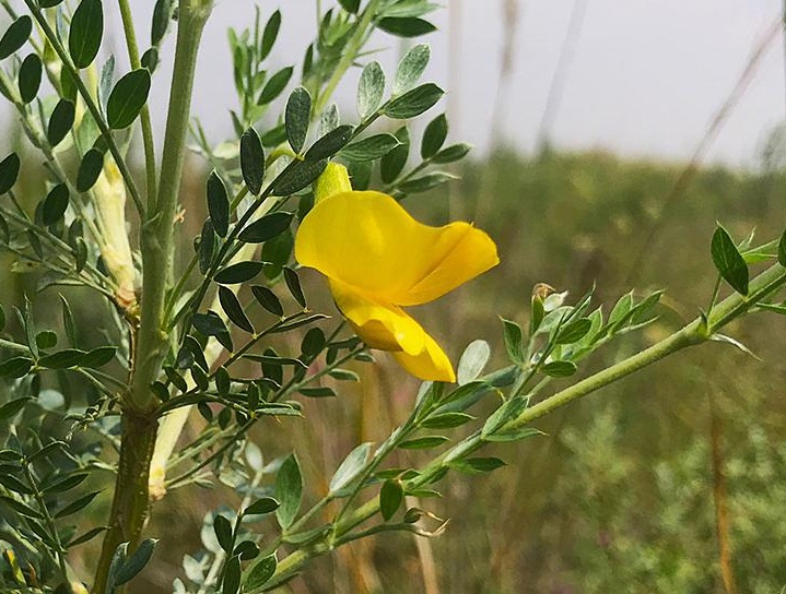 1634966163872953.jpg 1634966163872953.jpg