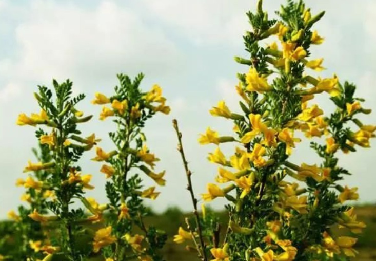 1634966176181481.jpg 1634966176181481.jpg