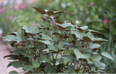 1634989494686207.jpg 1634989494686207.jpg