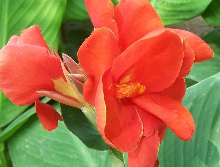 1635086923189636.jpg 3.jpg