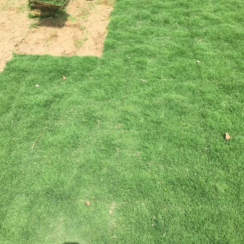 百慕大 百慕大
