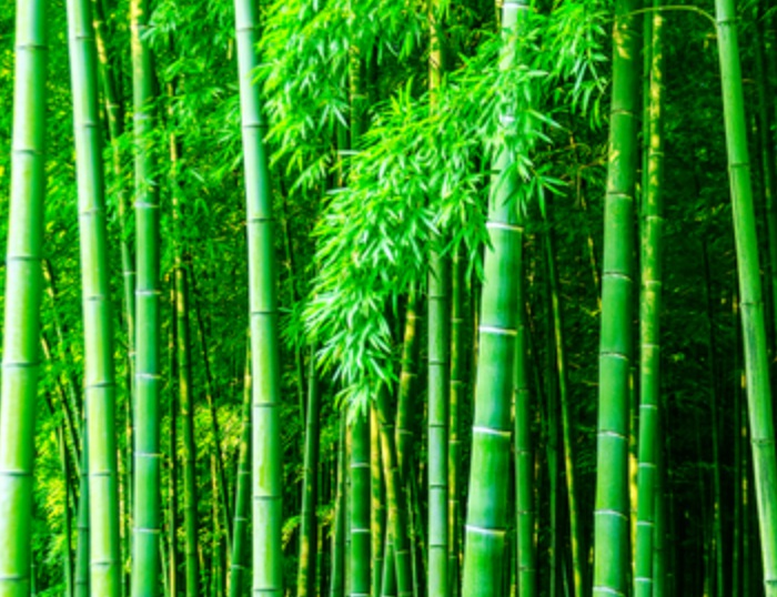 1635314240527658.jpg 1635314240527658.jpg