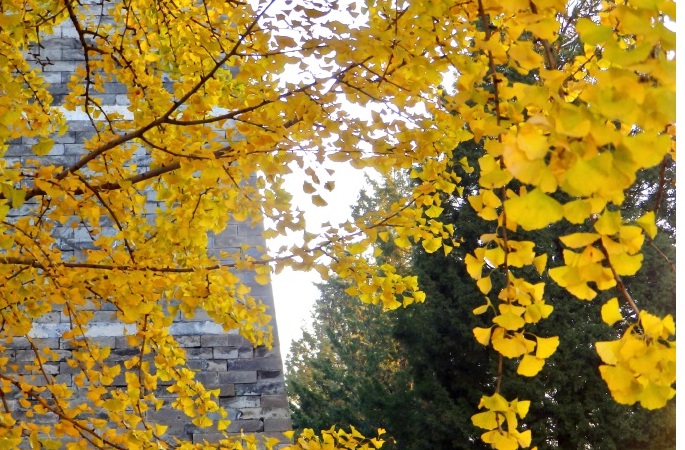 1635343272804252.jpg 1.jpg