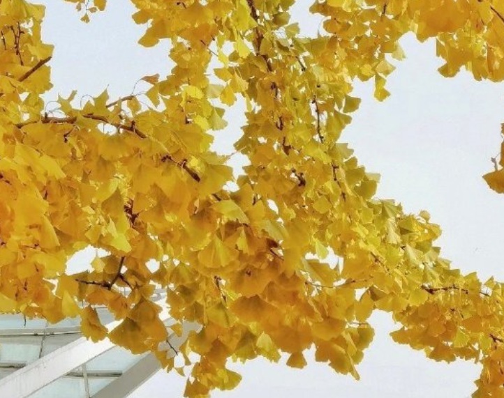 1635343289448969.jpg 2.jpg