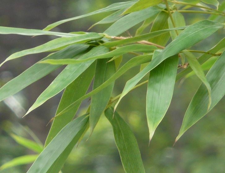 1635752187264883.jpg 4.jpg