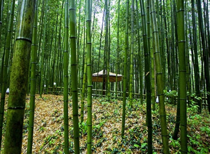 1635752204266597.jpg 5.jpg