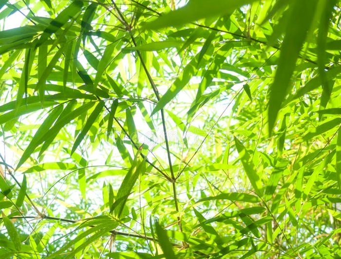 1635752218590341.jpg 6.jpg