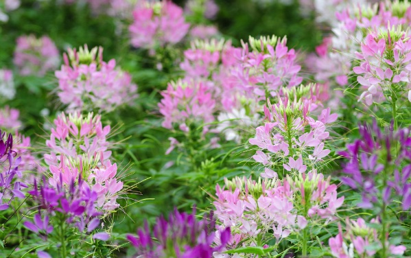 1635824333447166.jpg image.jpg