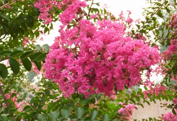 1635828254384570.jpg image.jpg