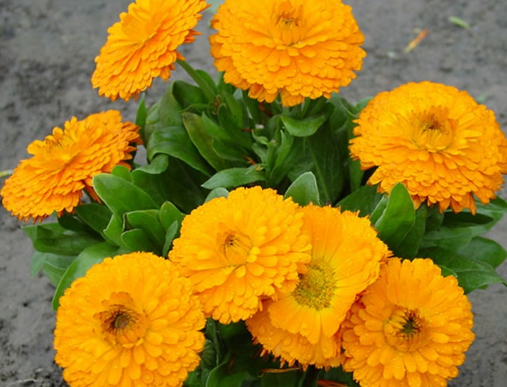 1635955348752928.jpg 1635955348752928.jpg