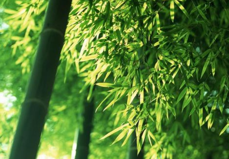 1636038849206376.jpg 1636038849206376.jpg