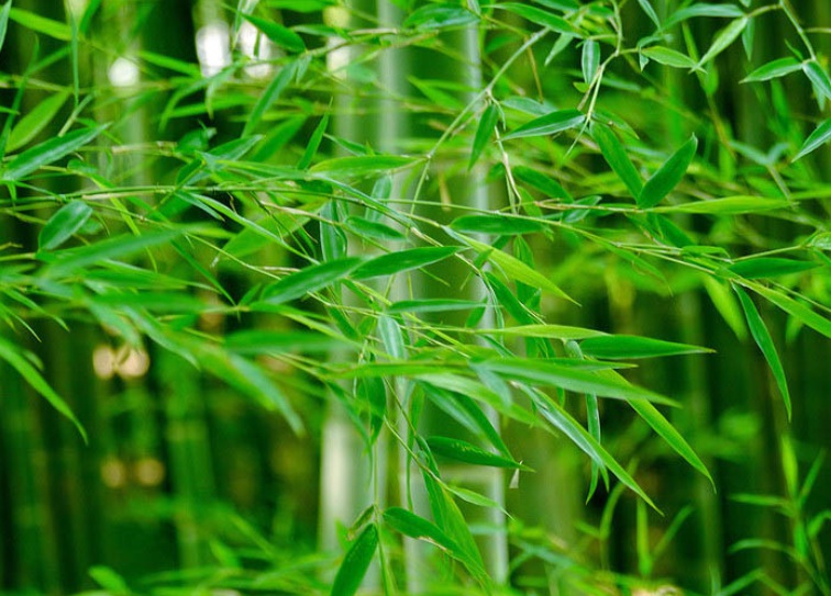 1636038862837737.jpg 1636038862837737.jpg