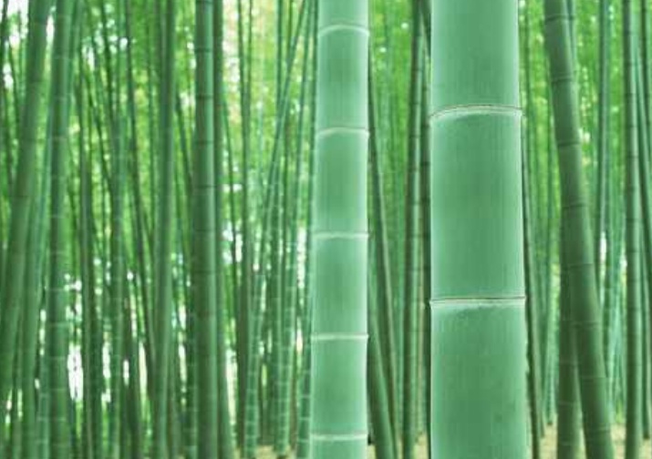 1636038874201966.jpg 1636038874201966.jpg