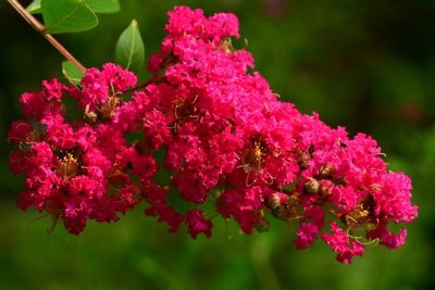 1636709158561026.jpg 1636709158561026.jpg