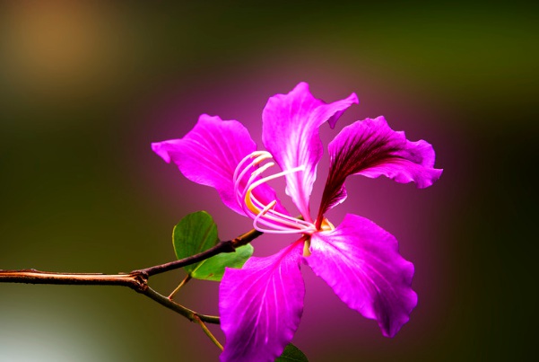 1636978956862302.jpg image.jpg