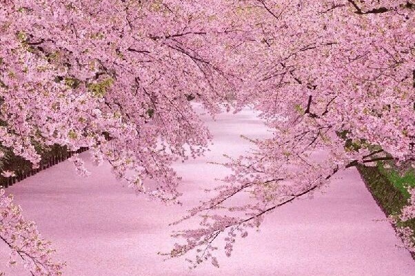 1637022438905365.jpg image.jpg