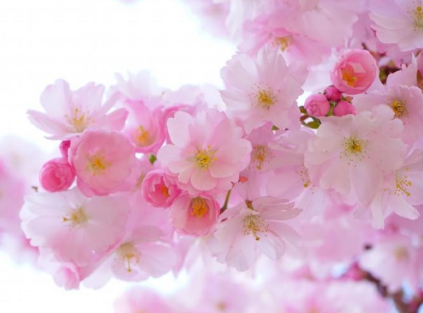 1637022458730831.jpg image.jpg