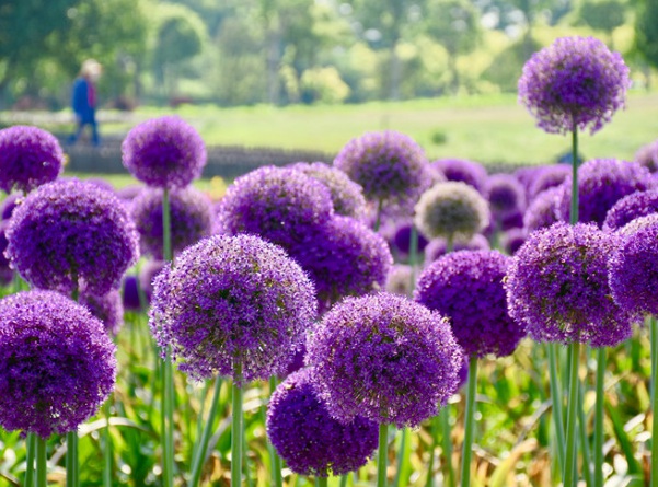 1637024236628312.jpg image.jpg