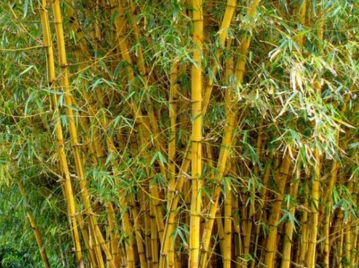 1637075077952421.jpg 1637075077952421.jpg