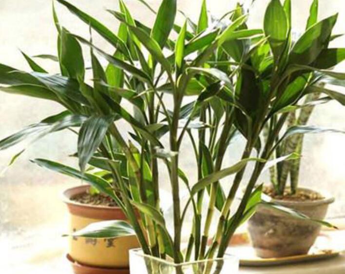 1637075095227845.jpg 1637075095227845.jpg