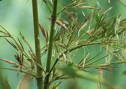 1637146235839956.jpg 1637146235839956.jpg