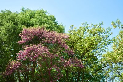 1637146849721776.jpg 1637146849721776.jpg