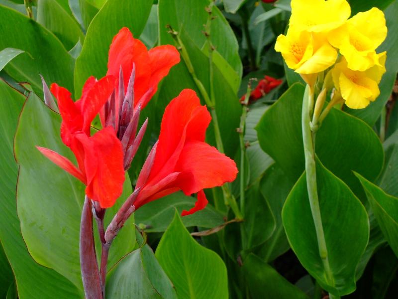 1637229677355653.jpg 1637229677355653.jpg