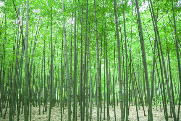 1637231302311534.jpg fe6844c83d6e64c9a84f05f224a4bfa3_t019c1568f9e128c701.jpg