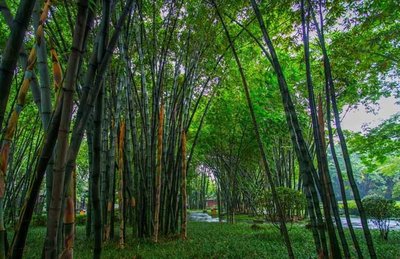 1637370682139113.jpg 1637370682139113.jpg