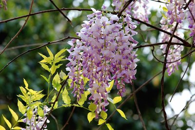 1637375800656373.jpg 1637375800656373.jpg