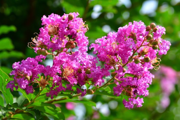 1637376067569919.jpg 1637376067569919.jpg