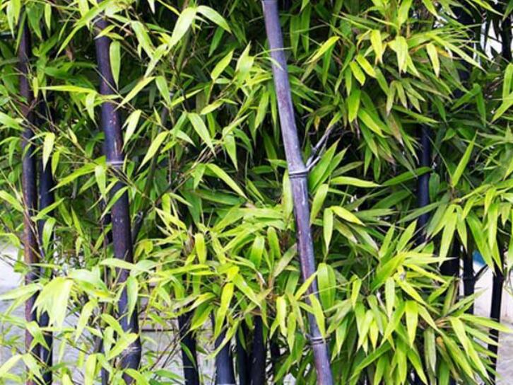 1637383728893702.jpg 1637383728893702.jpg