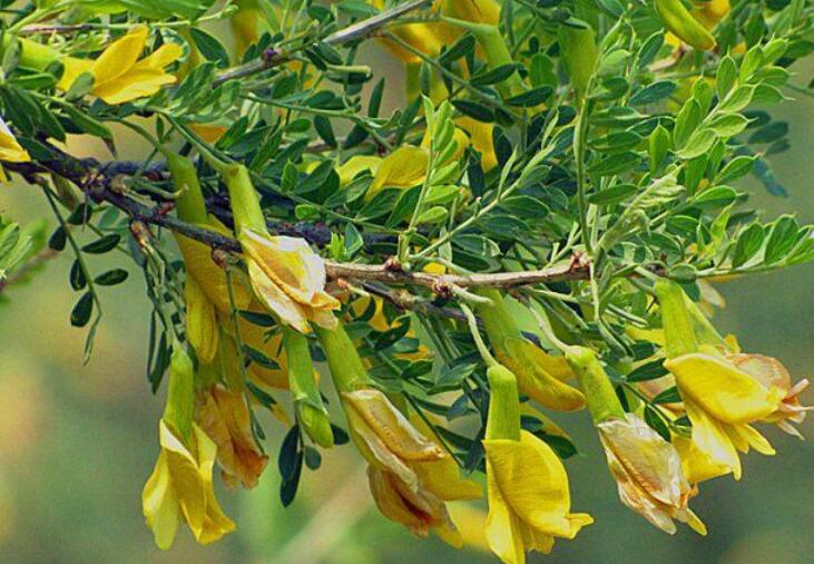 1637852479336631.jpg 1637852479336631.jpg