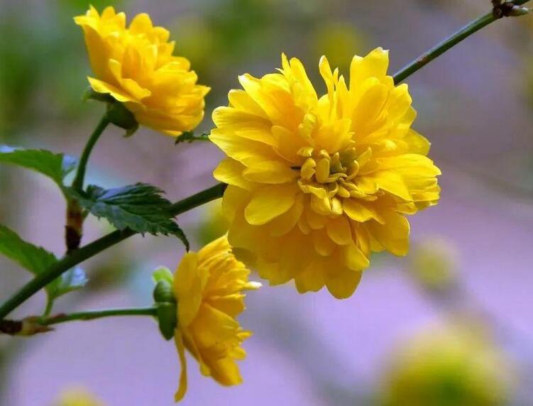 1637906001129002.jpg 1637906001129002.jpg