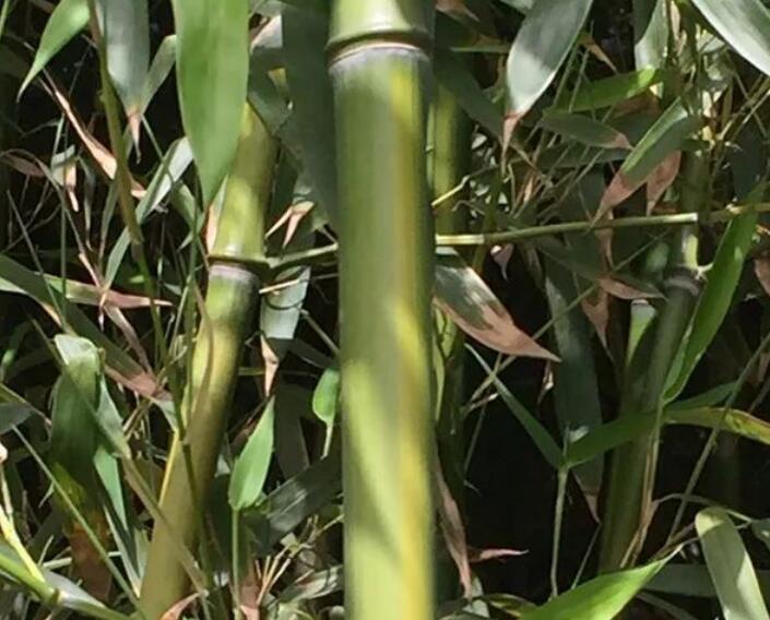 1637923616299863.jpg 1637923616299863.jpg