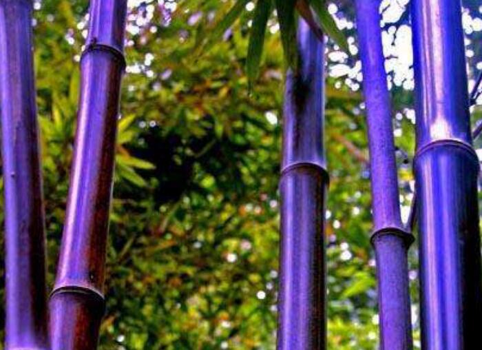 1638109742340444.jpg 1638109742340444.jpg