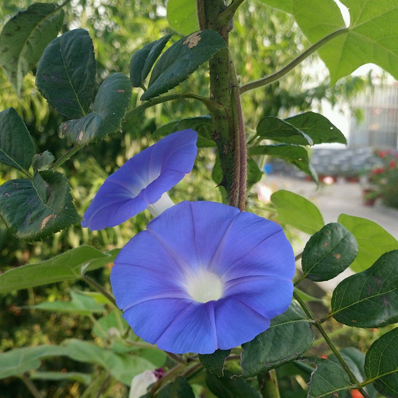 牽?；?/></p><p style=