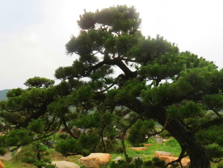 1638168114663006.jpg 1638168114663006.jpg