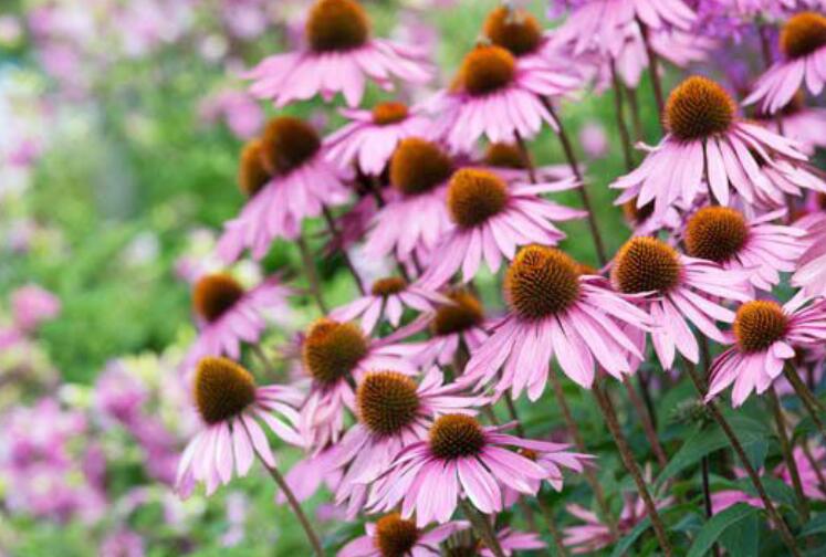 1638374403292592.jpg 1638374403292592.jpg