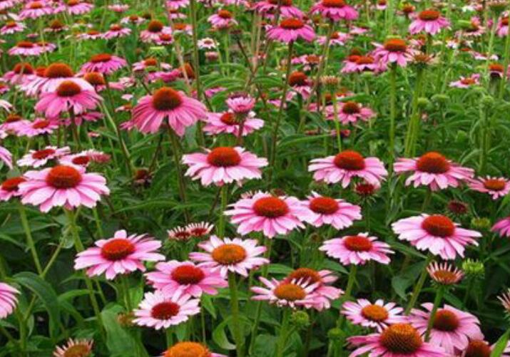 1638374472430480.jpg 1638374472430480.jpg