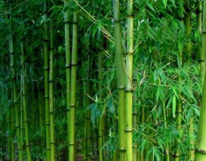 1638692555394666.jpg 1638692555394666.jpg